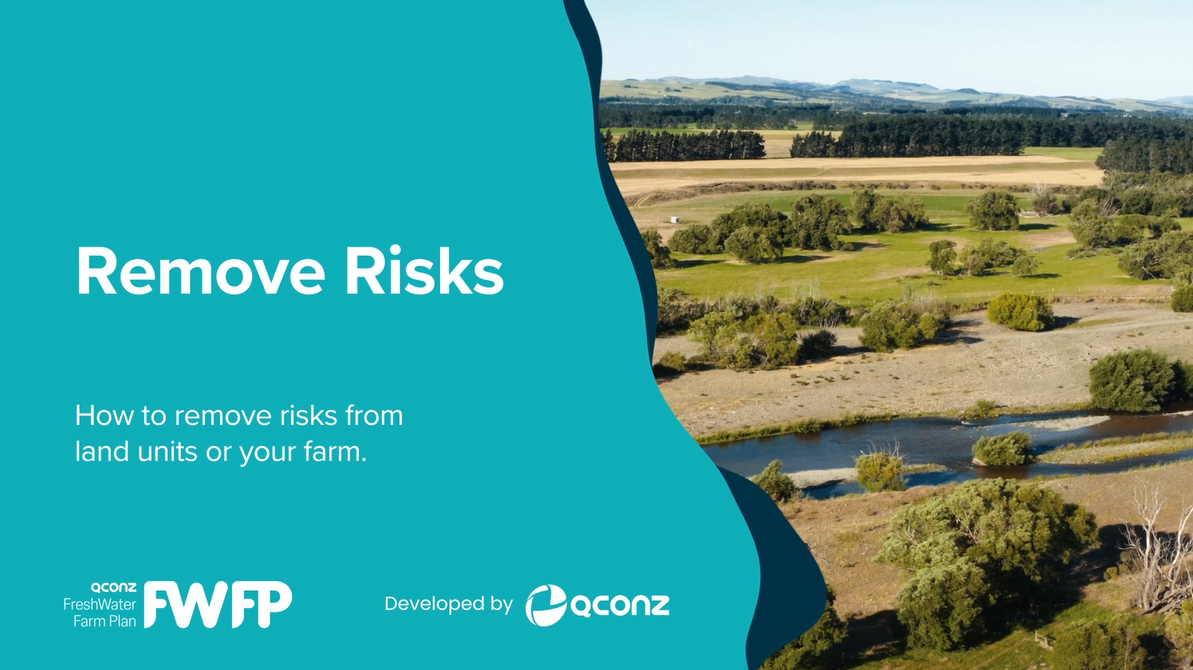 Remove Risks